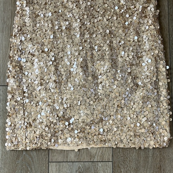 ALICE + OLIVIA Champagne Silk Sequin Mini Dress - Picture 5 of 12